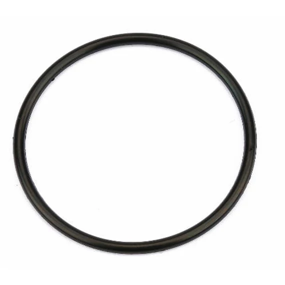 JBL CP e700/1-900/1 Dichtung für Rotorab