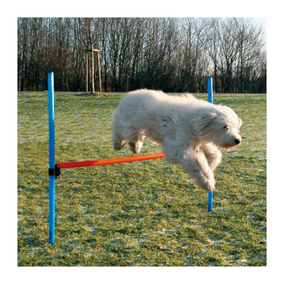 trixie 3207 Dog Activity játék Agility akadály 123x115 cm
