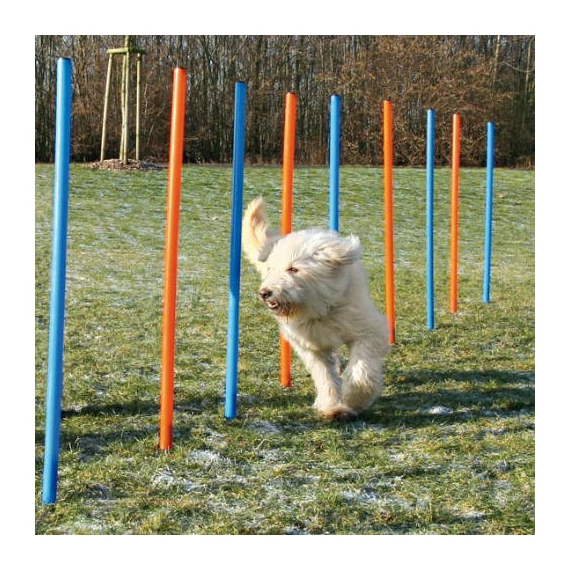 trixie 3206 Dog Activity játék Agility szlalom 12db 115x3cm