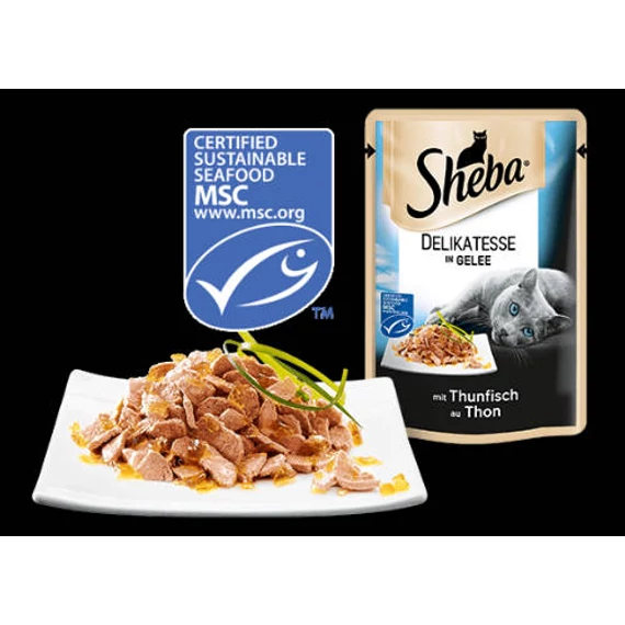 Sheba Delicato Adult Alutasakos - Tonhal - aszpikban (85g)