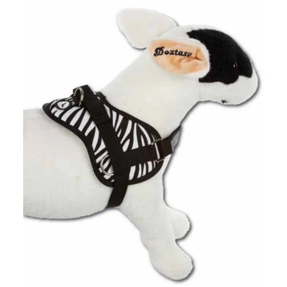 KT. AC. Doxtasy Hám zebra XXS (39-54cm)