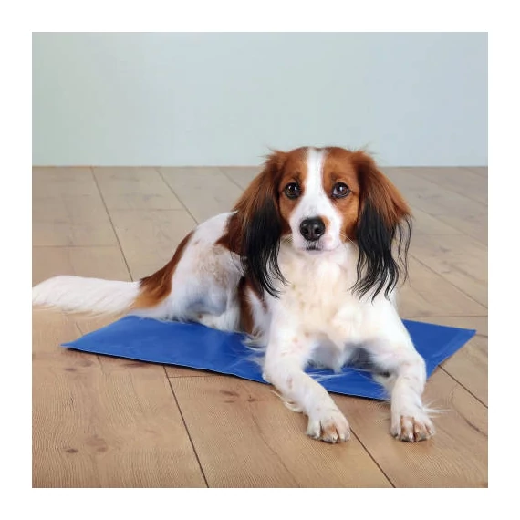 Trixie Cooling Mat - hűtősítő matrac (kék) kutyák részére (65x50cm) L
