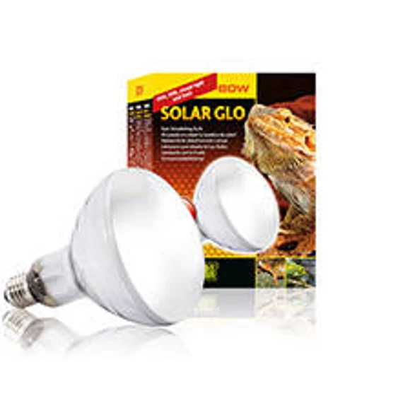 Exo-terra Solar Glo - izzó (80W) terráriumi állatok részére