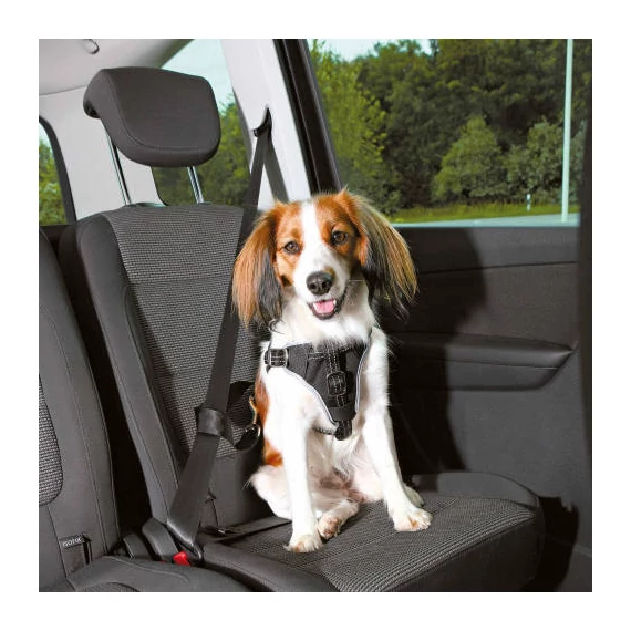 Trixie Car Harness Comfort - biztonsági hám autóba -fekete - (L) kutyák részére (65-88cm/23mm)