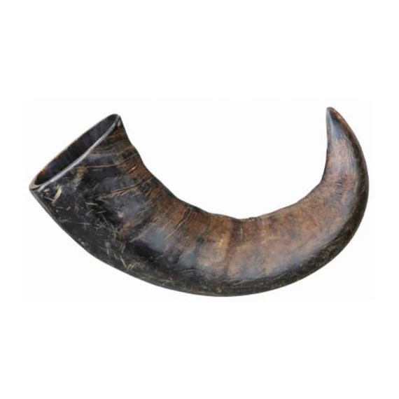 Trixie Buffalo Chewing Horn - bivalyszarv (large) kutyák részére