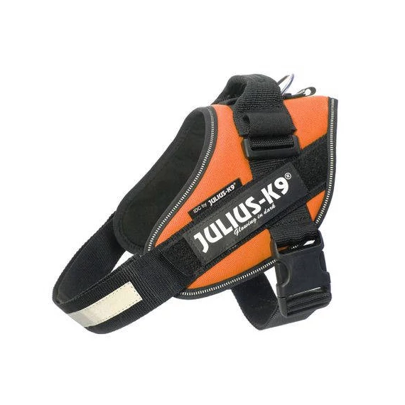 Julius K-9 IDC Powerhám Baby 1-es méret (UV narancs) 0,8-3kg-ig