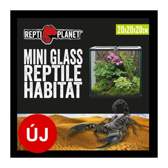 Repti Planet mini Glass Reptile Habitat - üveg terrárium  (20x20x20cm)
