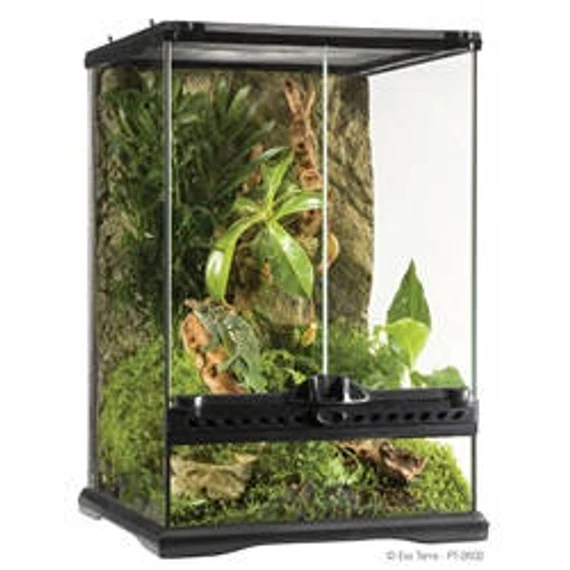 Exo-Terra Mini Tall Terrarium - Dekoratív kivitelű üvegterrárium (30x30x45cm)