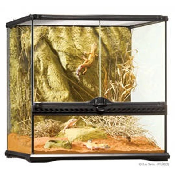 Exo-Terra Small Wide Terrarium - Dekoratív kivitelű üvegterrárium (45x45x45cm)