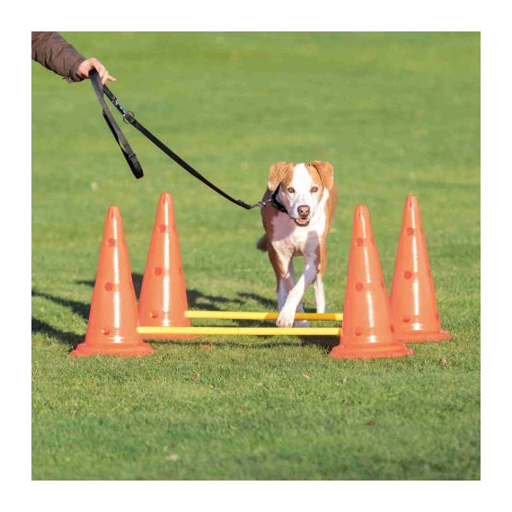 Trixie Sporting Obstacle Set - agility akadály (ugró akadály) kutyák részére (Ø30cm x 50/100cm)