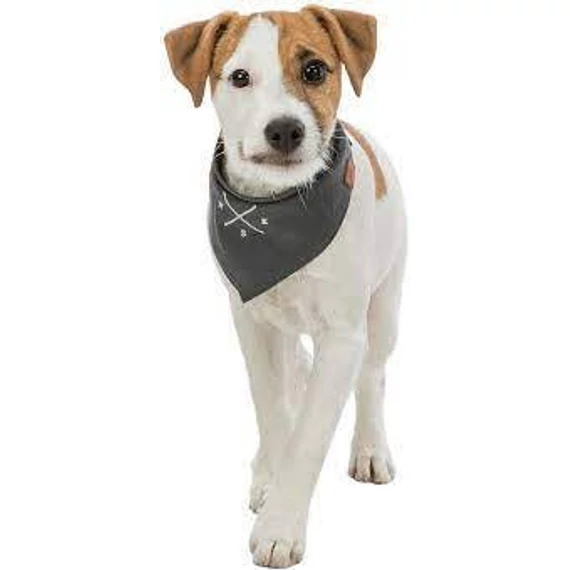 KT24: Trixie Be Nordic neckerchief - kendős nyakörv (sötétszürke, mintával) kutyák részére (S) 30cm
