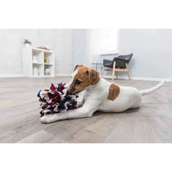 Trixie Dog Activity Sniffing Ball - interaktív játék (simat labda) kutyák részére (Ø15cm)