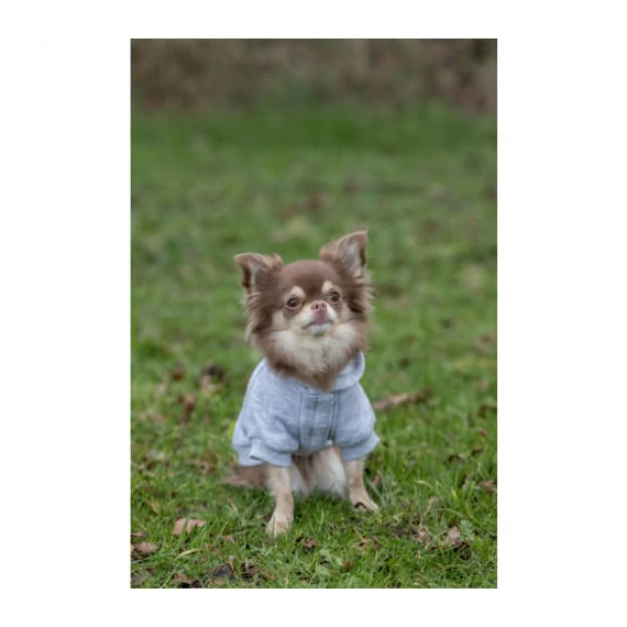 Trixie Rainbow Falls hoodie - kapucnis pulóver (szürke,mintás) kutyák részére (XS) 30cm