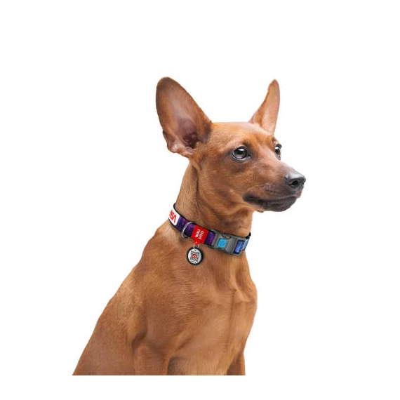 WAUDOG collar NASA21 - nyakörv (QR kódos, NASA21 dizájn, müa.csatt) kutyák részére (31-49cm/25mm) L2