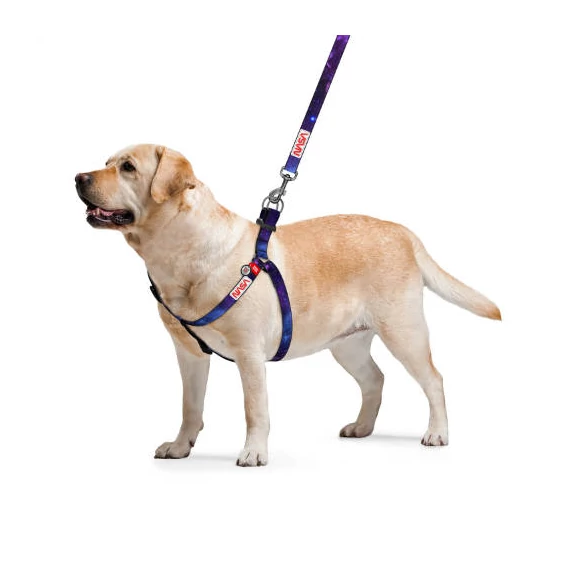 WAUDOG harness NASA21 - hám (QR kódos, NASA21 dizájn, müa.csatt) kutyák részére (60-90cm/25mm) S