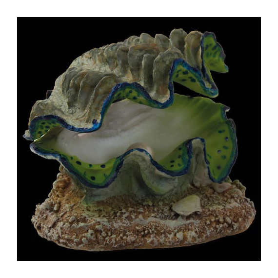 Aqua Excellent Clam Moved whit Air Bubble - levegőpumpa (kagyló forma) 12x10x5,5cm