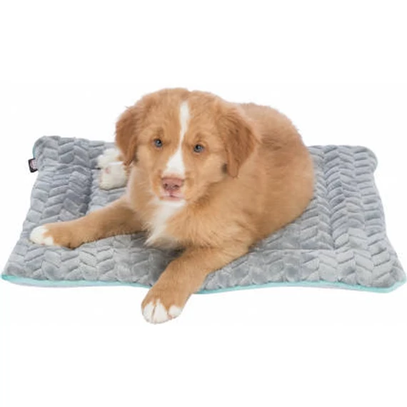 Trixie junior lying mat - fekhely (világosszürke/menta) kölyök kutyák részére (50x40cm)