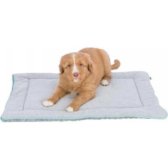 KT25.Trixie junior lying mat - fekhely (világosszürke/menta) kölyök kutyák részére (70x50cm)