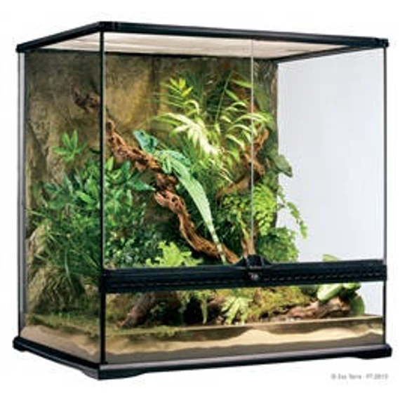Exo-Terra Medium Tall Terrarium - Dekoratív kivitelű üvegterrárium (60x45x60cm)