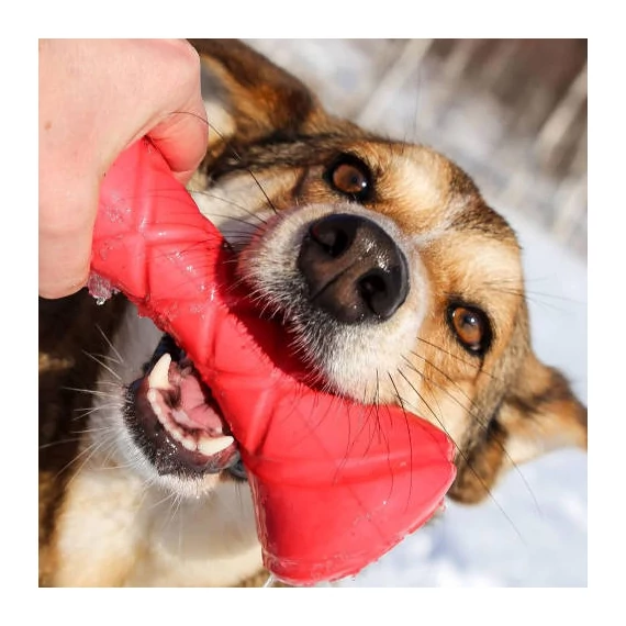 PitchDog Safe And Durable Barbell-Shaped Dog Toy - játék (súlyzó,pink) kutyák részére (Ø7cm/19cm)