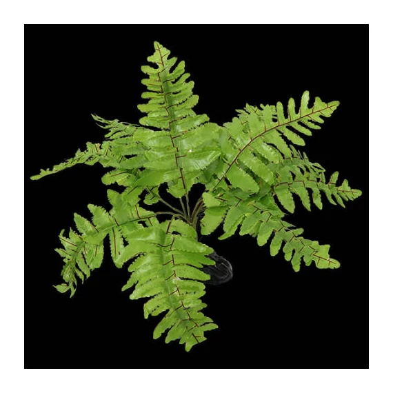 Repti Planet Plant Nephrolepis - Terráriumi műnövény dekoráció(Nephrolepis) 20cm