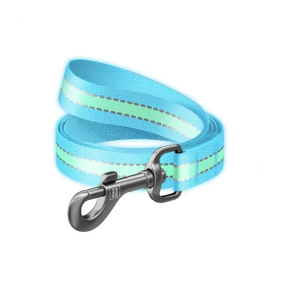 WAUDOG Nylon Reflective Dog Leash (S) - póráz (fényvisszaverős, kék) kutyák részére (122cm/15mm)