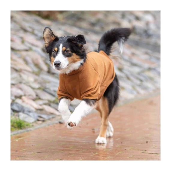 Trixie CityStyle Amsterdam sweatshirt - pulóver (rozsdabarna) kutyák részére (L) 55cm
