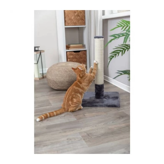 Trixie Scratching Post Batres - kaparófa (platinum szürke) macskák részére (38x38/62cm)