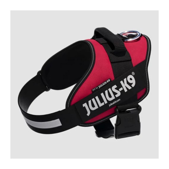 B:Julius K-9 IDC Powerhám felirattal (1-es méret, Viva Magenta) kutyák részére (23-30 kg-ig)