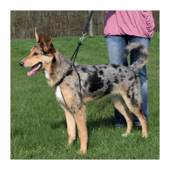 KT:trixie 1301 EasyWalk hám S