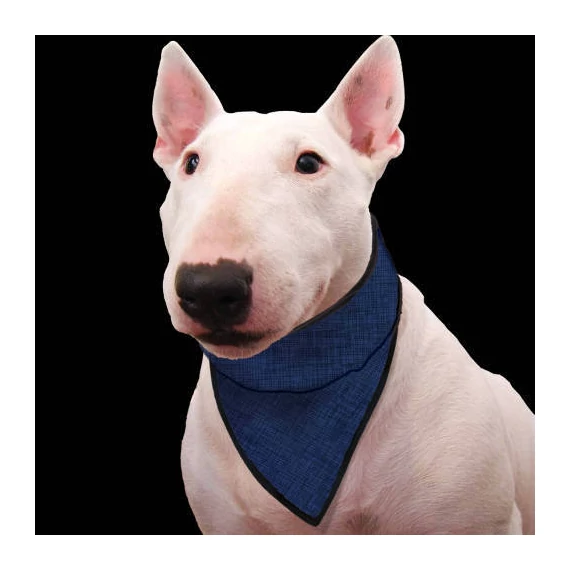 AC. hűtőkendő pacific blue XS