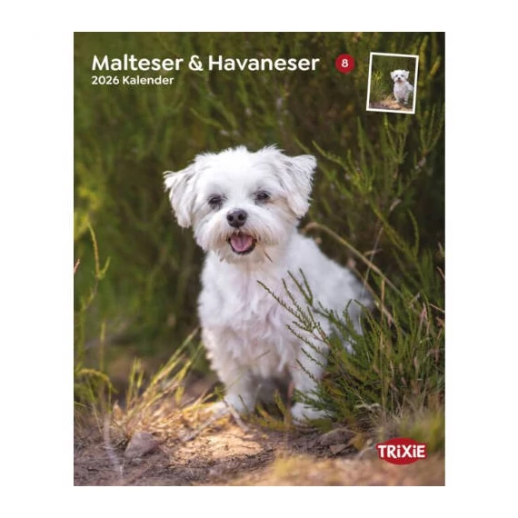 Trixie Calendar Maltese & Havanese naptár (Máltai,Havanese) 35x43cm - 2026