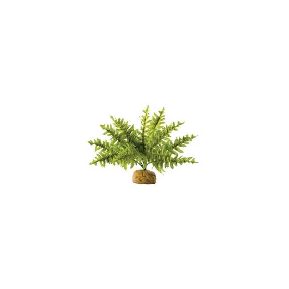 Exo-Terra Rainforest Plant Boston Fern Small - Terráriumi műnövény dekoráció (szoba páfrány) cca.10cm
