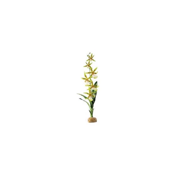 Exo-Terra Rainforest Plant Spider Orchid - Terráriumi műnövény dekoráció (Pók Orchidea) cca.45cm