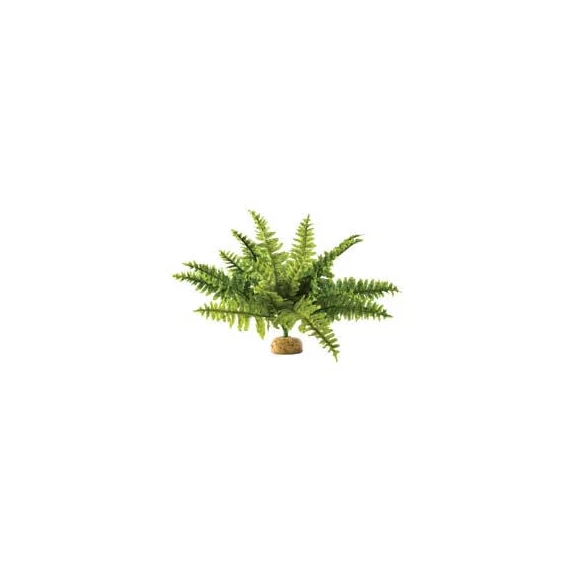 Exo-Terra Rainforest Plant Boston Fern Medium - Terráriumi műnövény dekoráció (szoba páfrány) cca.20cm