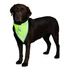 Kép 1/2 - Trixie Safety Neckerchief - Fényvisszaverős kutyakendő XS-S (22-28cm)