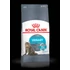 Kép 1/2 - Royal Canin Feline Adult (Urinary Care) - Teljesértékű eledel macskák részére(400g)