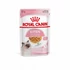 Kép 1/2 - Royal Canin Feline Kitten (Jelly) - alutasakos (hús,kocsonyában) eledel macskák részére (85g)