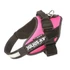 Kép 1/2 - Julius K-9 IDC Powerhám Mini-Mini (pink) 4-7kg-ig