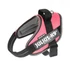 Kép 1/2 - Julius-K9 IDC Powair - hám (pink,felirat) kutyák részére (S)