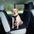 Kép 1/2 - Trixie Protective Car Seat Cover, dividable - autós üléstakaró (hátsó ülésre,fekete) 1,45x1,60m