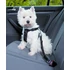 Kép 1/2 - Trixie Car Harness - biztonsági öv kutyák részére - S - (30-60cm/20mm)