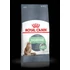 Kép 1/2 - Royal Canin Feline Adult (Digestive Care) - Teljesértékű eledel macskák részére(400g)