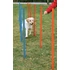 Kép 2/2 - trixie 3206 Dog Activity játék Agility szlalom 12db 115x3cm - 2