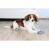 Kép 2/2 - Trixie Dog Socks - kutyazokni (szürke) M-L (2cs) - 2