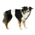 Kép 2/2 - Trixie Diapers for Male Dogs - pelenka kan kutyák részére S-M (30x46cm) 12db - 2
