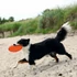 Kép 2/2 - Trixie Dog Disc - termoplasztikus gumi játék (frizbi) kutyák részére (Ø22cm) - 2