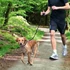 Kép 2/2 - trixie 12764 Jogging póráz, fekete - 2