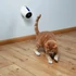 Kép 2/2 - KT25.Trixie Laser Pointer Moving Light - játék (lézeres mutató) macskák részére (11cm) - 2
