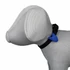 Kép 2/2 - trixie 13448 flasher, 11cm - 2